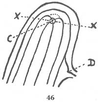 Fig. 46